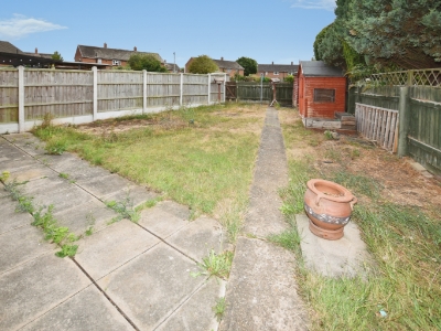 Picture 11